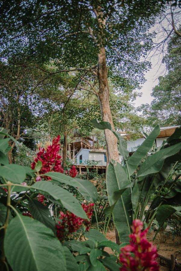 Serrano Tayrona Lodge El Zaino Exterior photo