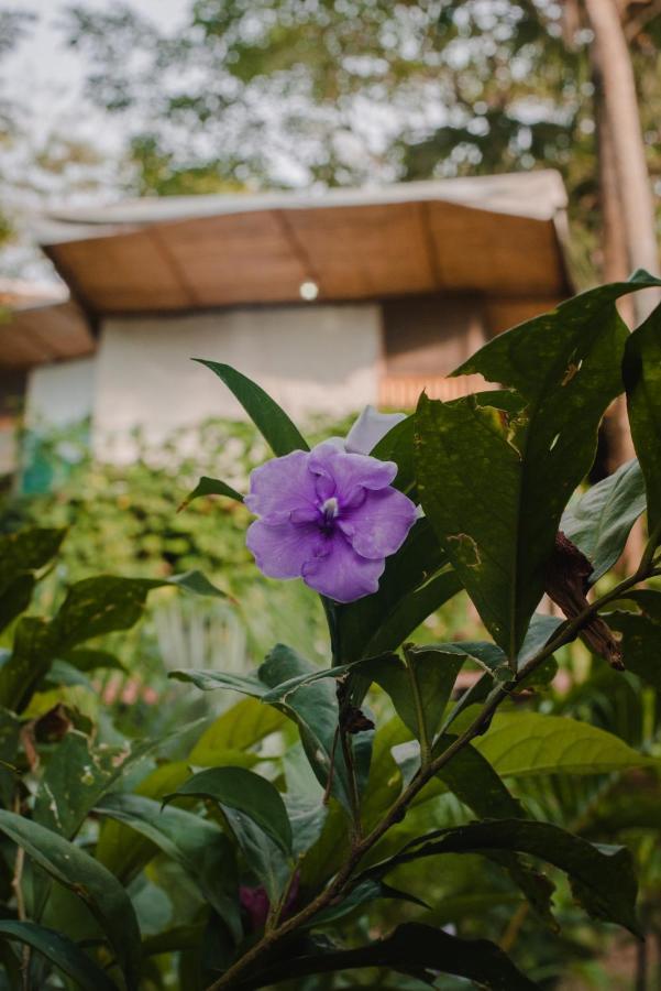 Serrano Tayrona Lodge El Zaino Exterior photo